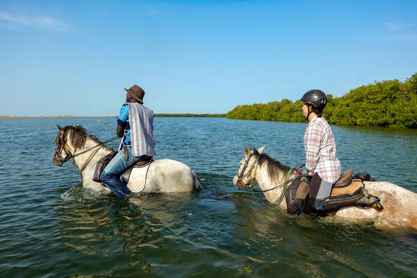 Traversée à cheval de rivière au Sénégal