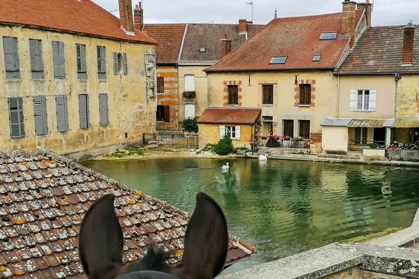 Traversée à cheval de village en Champagne