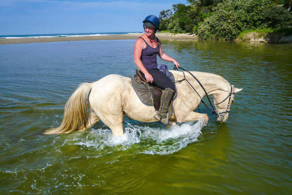 Traversée à cheval sur la Wild Coast