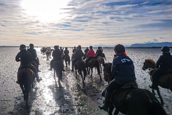 Traversée de la baie à cheval en Islande
