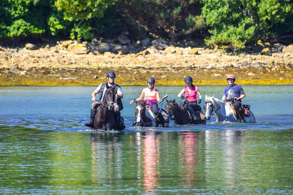 Traversée de rivière