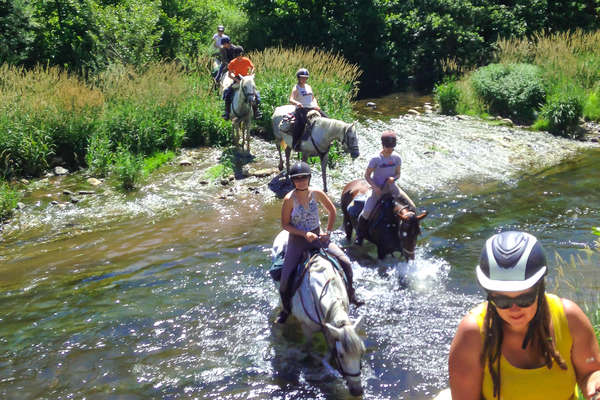 Traversée de rivière à cheval