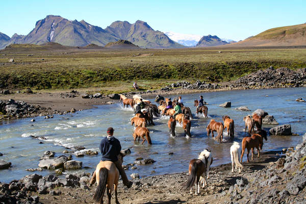 Traversée des rivières d'Islande à chevak