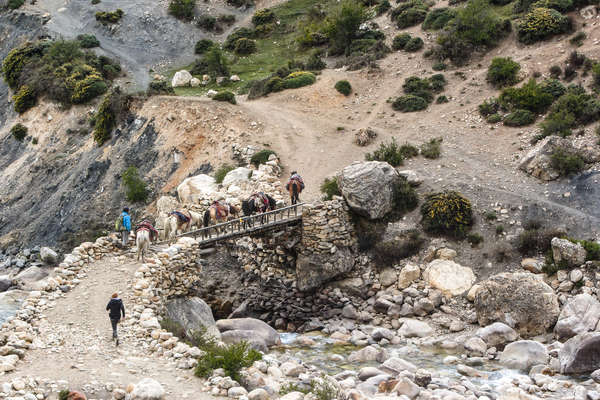 Traversée du pont au Népal