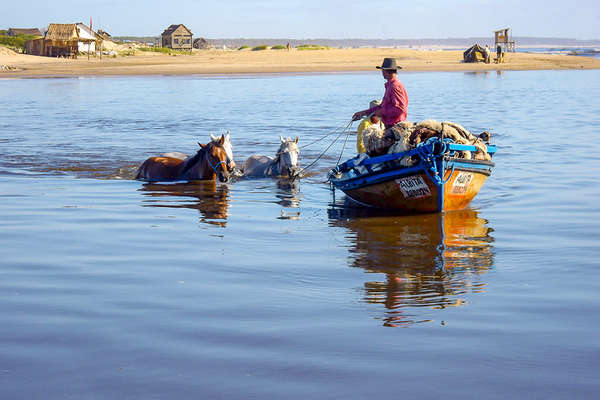 Uruguay et chevaux