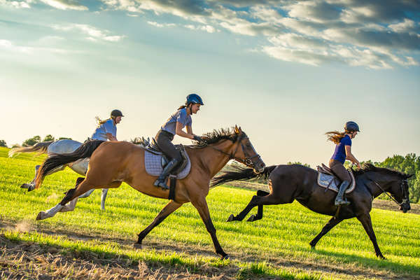 Trois cavaliers au galop dans les champs en Pologne