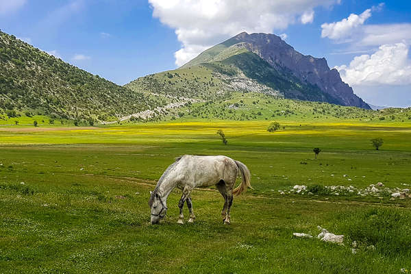 Vallées de l'Albanie