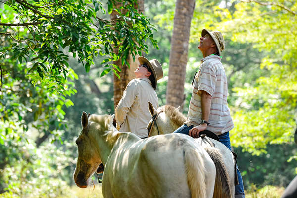 Voyage à cheval au Costa Rica