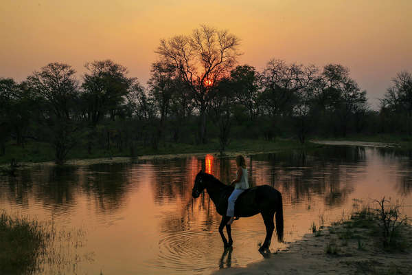Voyage à cheval dans le delta de l'Okavango