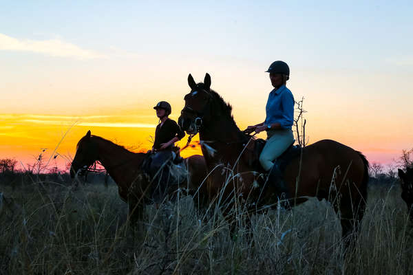 Voyage à cheval en Afrique du Sud