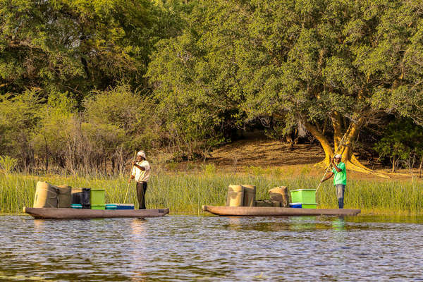 Voyage en mokoro au Botswana