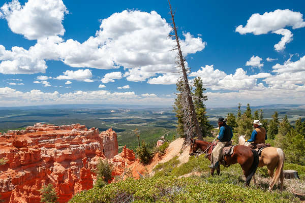 Vue de cheval du Grand Canyon