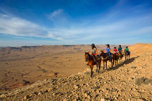 Vue de cheval sur le désert en Israël