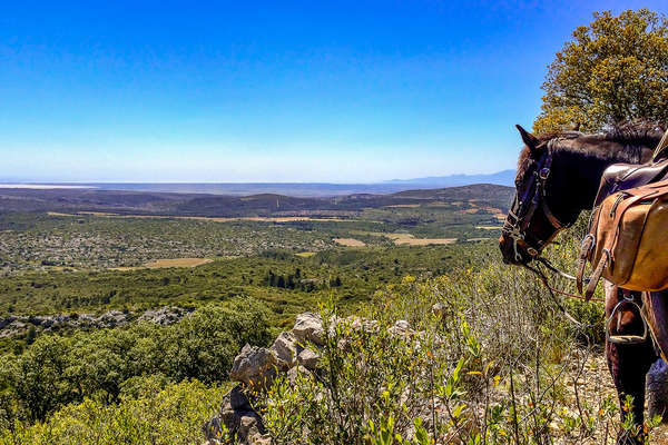 Vue imprenable sur la plaine