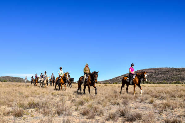 Waterberg à cheval