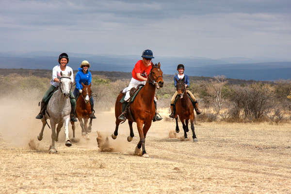 Waterberg à cheval