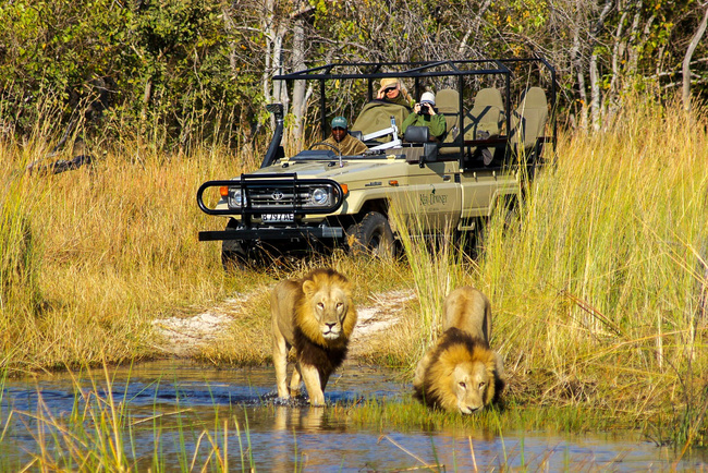 Safari au Botswana avec Sous l'Acacia, filiale de Cheval d'Aventure @chevaldaventure