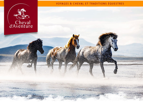 L'Islande à cheval cet été